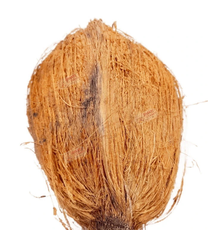 Naariyal (Coconut)