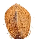 Naariyal (Coconut)